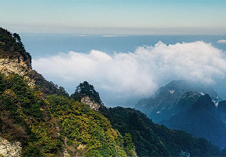 “十四五”能源规划成绩评述及形势展望
