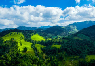 山东建成651家绿色矿山 国家级和省级绿色矿山数量居全国首位