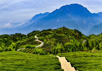 中国矿业联合会发布2025中国矿业十大新闻